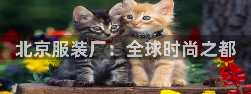 欧星娱乐竞技