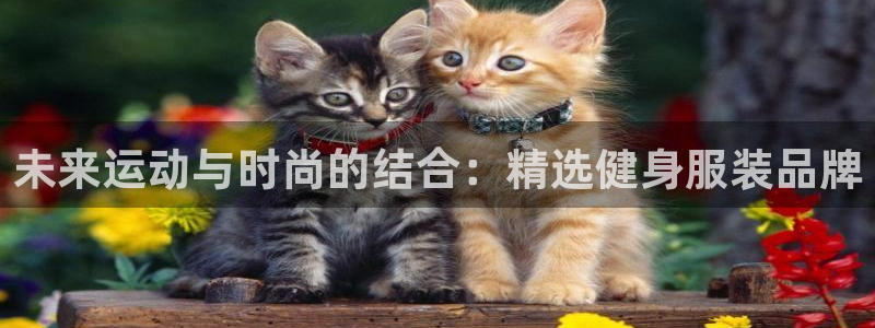 星欧娱乐是诈骗吗