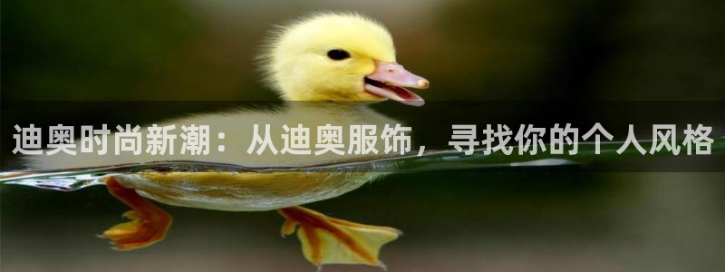 欧星娱乐彩票去