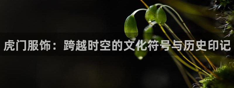 星欧娱乐平台主管