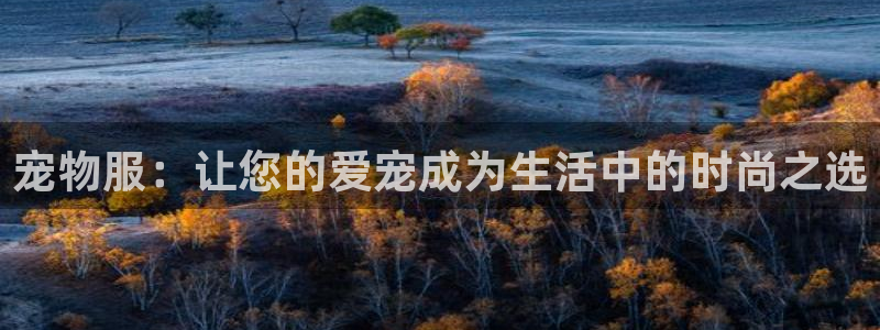 星欧娱乐主管