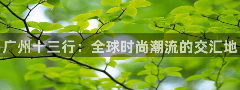 星欧娱乐官网入口手机版