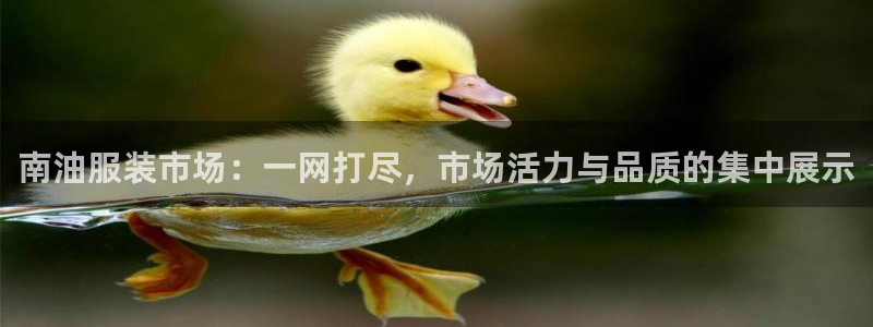 星欧娱乐平台app下载