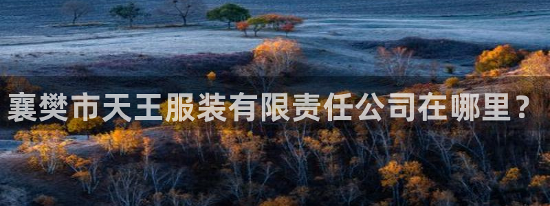 星欧娱乐是什么平台