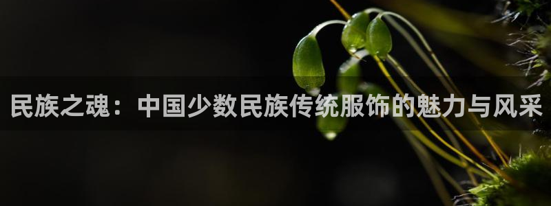星欧娱乐2024
