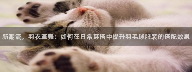 星欧娱乐招商81338