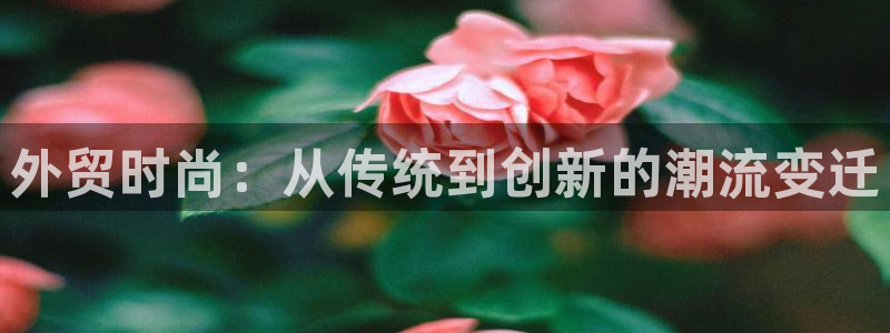 娱乐星天地欧豪