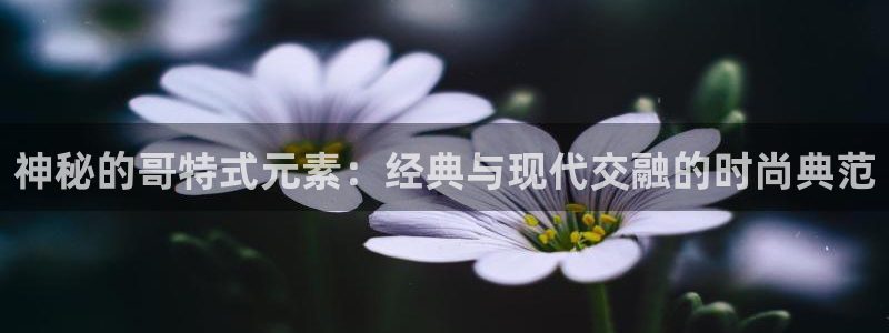 欧星娱乐08