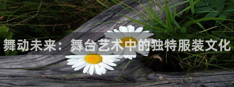 星欧娱乐app登录入口：舞动未来：舞台艺