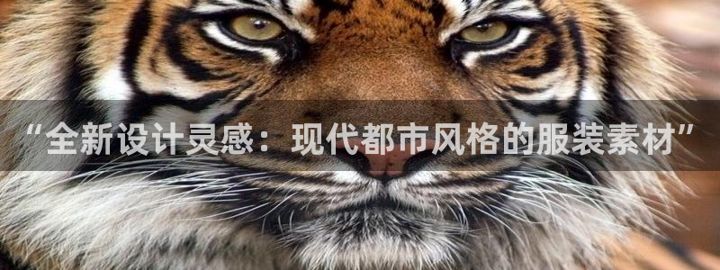 欧乐星城休闲娱乐