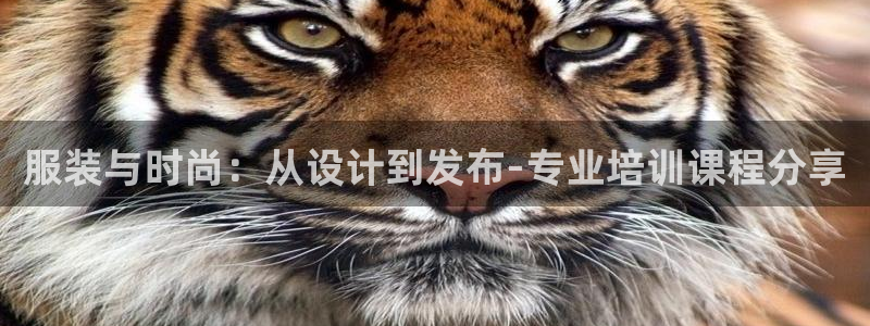 星娱乐online欧弟