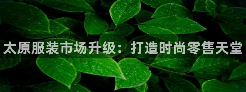 星欧娱乐官网登录入口