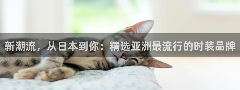 欧乐星城团购娱乐怎么样：新潮流，从日本到