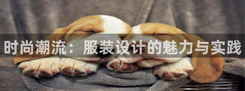星欧娱乐倒闭了吗