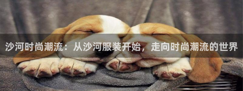 星欧娱乐公司老板背景