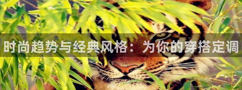 欧乐星城休闲娱乐