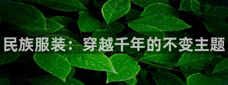 欧星娱乐网址无脑赚