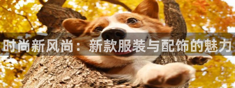 星欧娱乐最近怎么了：时尚新风尚：新款服装